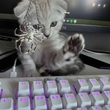 Telegram profile photo for Прайс | Реклама, пиар, ОП