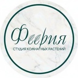 Telegram profile photo for Студия комнатных растений ФЕЕРИЯ