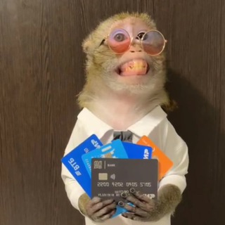 Telegram profile photo for allo trade