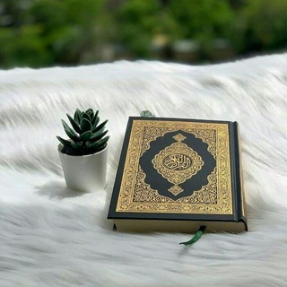 Telegram profile photo for القرآن الكريم 🦋