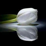 Telegram profile photo for الرقيه الشرعيه