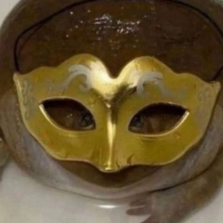 Telegram profile photo for Только ворованные мемы