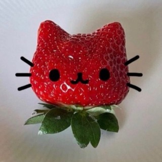 Telegram profile photo for miranni info