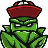 Telegram profile photo for 🥦 SALAT PATAPON