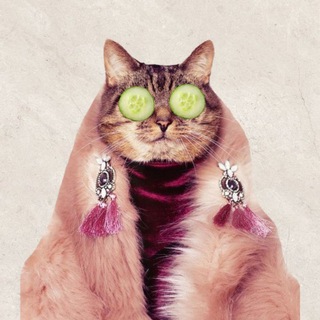 Telegram profile photo for И кожа, и одёжа