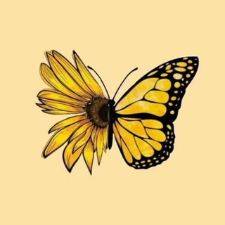 Telegram profile photo for آنسة مَطر 🪽🦋