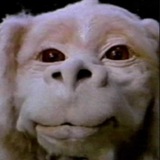 Telegram profile photo for NewCryptoStory