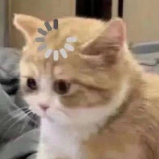 Telegram profile photo for مری’ز دیز🙎🏼♀️
