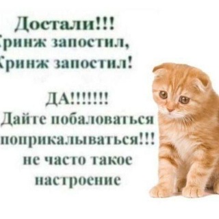 Telegram profile photo for Без Паники