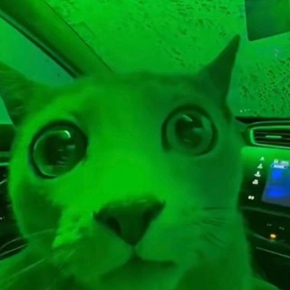 Telegram profile photo for мой тгк