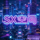 Telegram profile photo for 天河SX空间报告频道