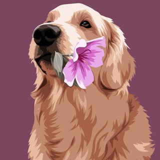 Telegram group profile photo for чат колянчика