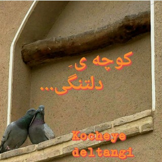 Telegram profile photo for کوچه ی ِ دلتنگی