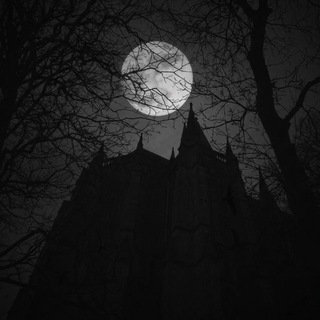 Telegram profile photo for Transylvania