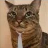 Telegram profile photo for мафинский