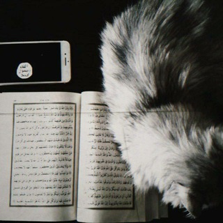 Telegram profile photo for تَوْبَـة .