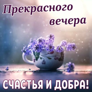 Telegram profile photo for Открытки с поздравлениями