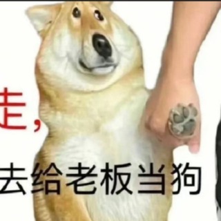 Telegram profile photo for 月初数据号/8级号