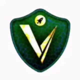 Telegram profile photo for کانفیگ رایگان آلفا وی تو ری