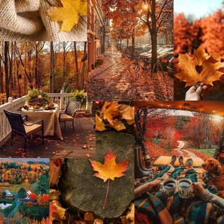 Telegram profile photo for 🍂 Oсенняя nолянкa Ⲕⲁύⲣⲟ ⲣⲁⲱ🥞