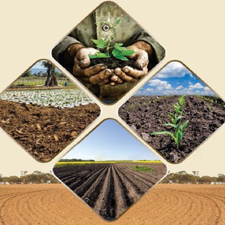 Telegram profile photo for آب و خاک و گیاه