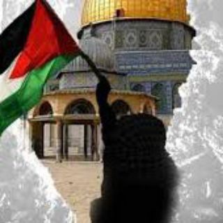 Telegram profile photo for Free Palestine