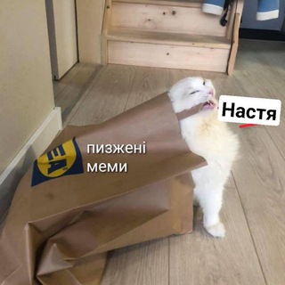 Telegram profile photo for 🍍 Ананастєвий кабачок
