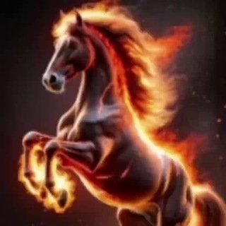 Telegram profile photo for 𝑺𝑯𝑨𝑫𝑶𝑾𝑪𝑳𝑼𝑩 𝑽𝑰𝑷 𝑪𝑯𝑨𝑵𝑵𝑬𝑳(𝑻𝑴)