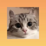 Telegram profile photo for Dospara