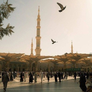 Telegram profile photo for قناة || عمرو الحداد