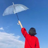 Telegram profile photo for 腾讯会议|炒群|上粉|币圈一条龙