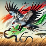 Telegram profile photo for 🦅🇸🇩بوادر النصر🦅🇸🇩