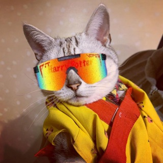 Telegram profile photo for 1CAT Portal