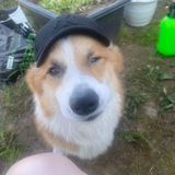 Telegram profile photo for Psydix