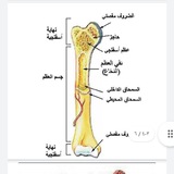 Telegram profile photo for قناة صف ثالث متوسط اسئله وزاريه