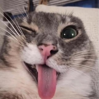 Telegram profile photo for фроссоу