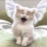 Telegram profile photo for ~•Miki•~