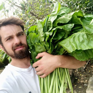 Telegram profile photo for Ромчикова ЗЕЛЕНЬ☘️🌿🌲🥬🥗
