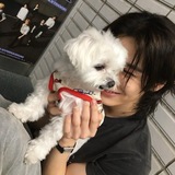 Telegram profile photo for wave to leehan