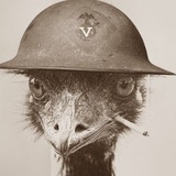 Telegram profile photo for 🇵 🇷 🇮 🇻 🇦 🇹 🇪