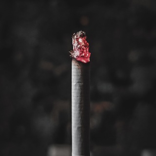 Telegram profile photo for Cigarettes Enjoyers