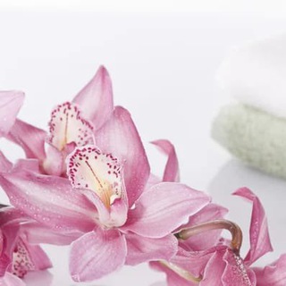 Telegram profile photo for 🇸🇬SG SPA&Massage@ Guide