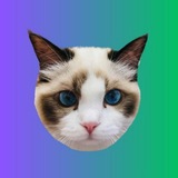 Telegram profile photo for Benji Official Verification