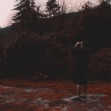 Telegram profile photo for Kokokei | Полевой дневник
