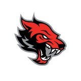 Telegram profile photo for °᭄ VIP Prediction 🏆Okwin🏆