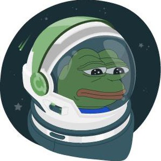 Telegram group profile photo for Space X Pepe (Meme Coin)