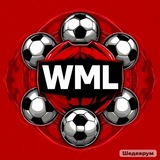 Telegram profile photo for WML || World mamoball league || 1 season