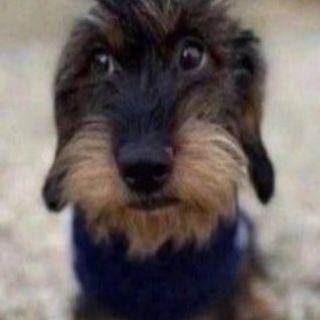Telegram profile photo for спаkaka 🩴