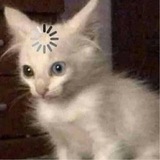 Telegram profile photo for Лекции 1 поток