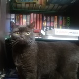 Telegram profile photo for О книгах и не только